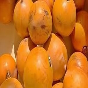 agbalumo-transformed (1)